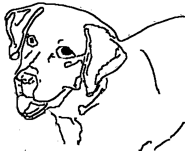  Coloring Sheets on Coloring  Dog Coloring Pages For Kids
