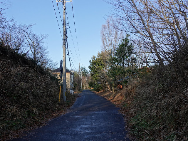 鳥取県道52号岸本江府線　大山の森