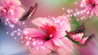 BUTTERFLY HD WALLPAPER 64