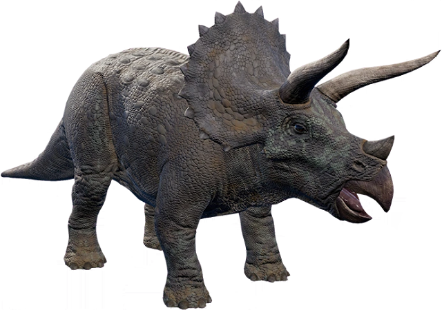 Aku Tahu Dinosaurus Triceratops