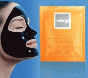 SHISEIDO NATURGO MUD MASK