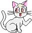 Gif de gatinho