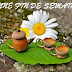 MESSAGE BONNE FIN DE SEMAINE