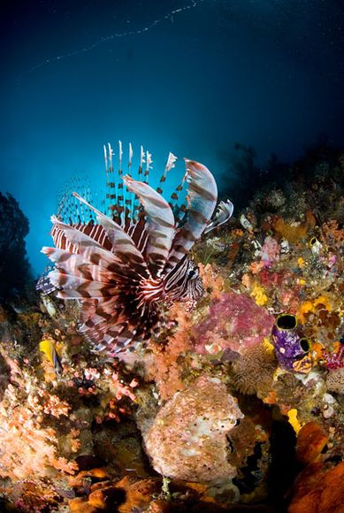 kumpuan foto pemandangan alam indah di indonesia