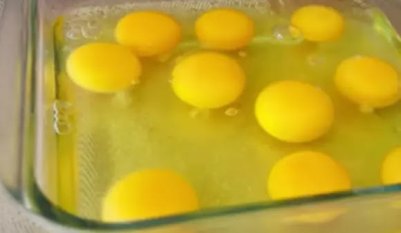 Egg Yolk for health