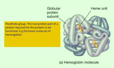 Conjugated protein