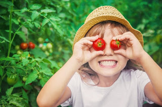 Projeto alimentação saudável - Como trabalhar?