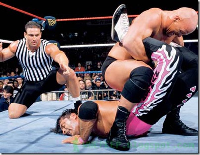 16 Bret Hart Stone Cold