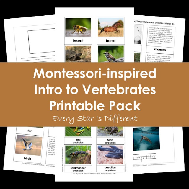 Montessori-inspired Intro to Vertebrates Printable Pack