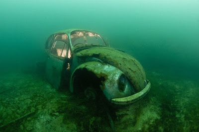 Alex Mustard's Ship Wrecks on Sea Bed  Seen On www.coolpicturegallery.us