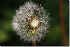 bilder 009