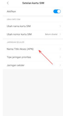 Nama Titik Akses (APN)