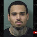 Chris Brown reportedly arrested after his Florida concert