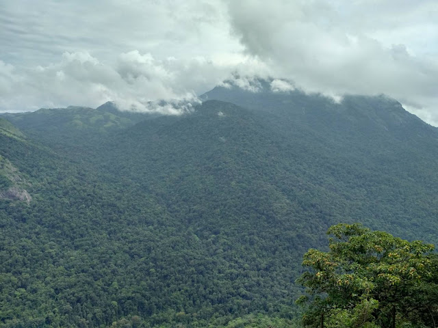 Bisle view point or Bisle ghat (Mungarumale 2  climax shooting spot )