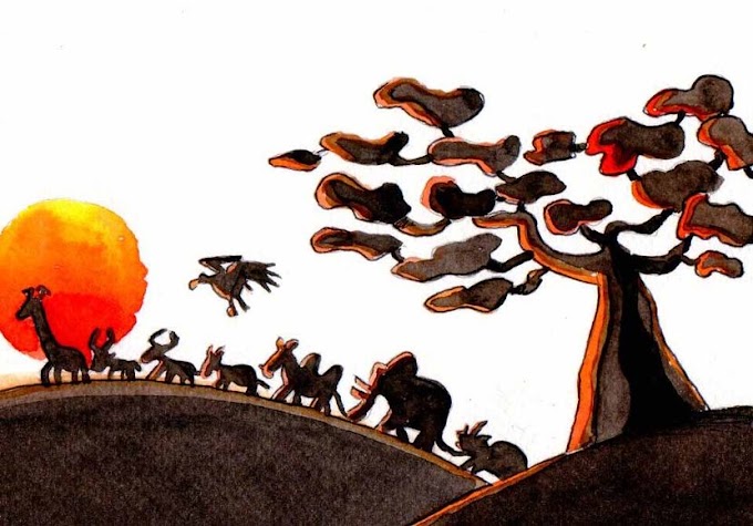 IL VECCHIO CHE SALVÒ GLI ANIMALI DELLA FORESTA  (LEGGENDA KAYAPÒ )