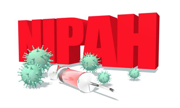 Nipah: 10 principais sintomas do vírus mortal; dicas de prevenção e tratamento