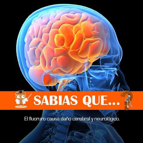 Cuatro Pasos para Liberar a tu Cuerpo de los Efectos Negativos del Fluoruro