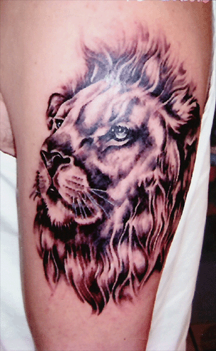 lion tattoo blogspot