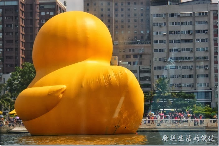 高雄光榮碼頭-水陸觀光車(鴨子船)。在鴨子船上只能這樣看著黃色小鴨的屁股，也可以看到其背後底部有一條拉鍊。