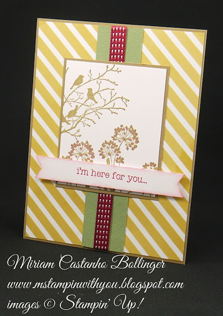 Miriam Castanho-Bollinger, #mstampinwithyou, stampin up, demonstrator, ppa, all occasions card, lullaby dsp, serene silhouettes, pedal pusher stamp set, banner triple punch, su