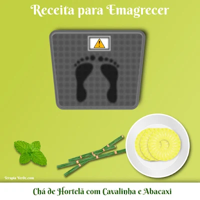 Receita para Emagrecer: Chá de Hortelã com Cavalinha e Abacaxi