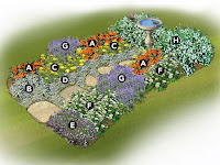 Bird Garden Plans