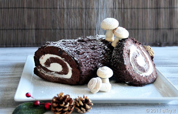 Chocolate Yule Log (Bûche de Noël au chocolat) 291edited a