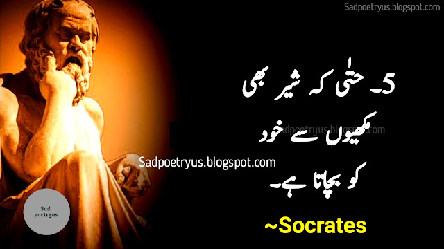 socrates-quotes,socrates-quotes-in-urdu,sukrat-quotes-in-urdu