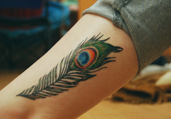 Peacock Feather Tattoos Design