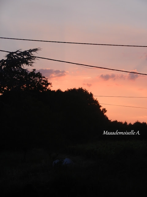 Coucher de soleil - France - Centre - Cher