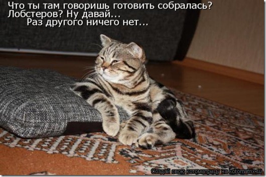 clip_image001