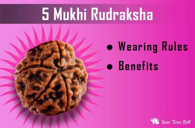 5 Mukhi Rudraksha Wearing rules