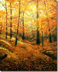 autumn_forest-1195