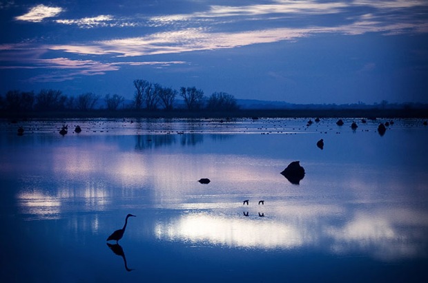 nature-photography-lake