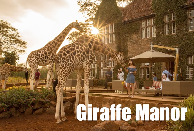 Giraffe Manor