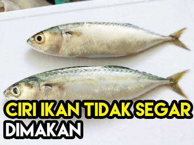 Ciri Fizikal Ikan Tidak Segar Dimakan