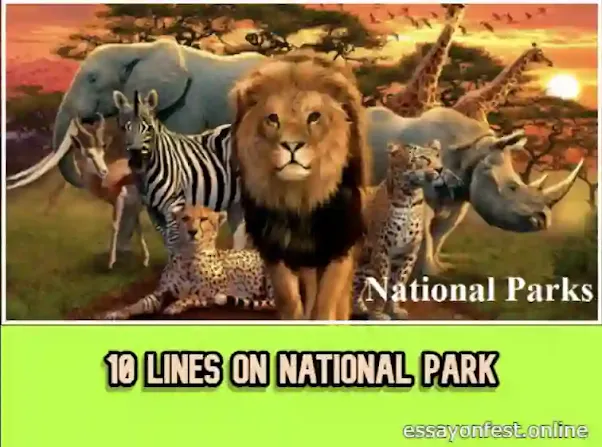 10 Lines On National Park In India