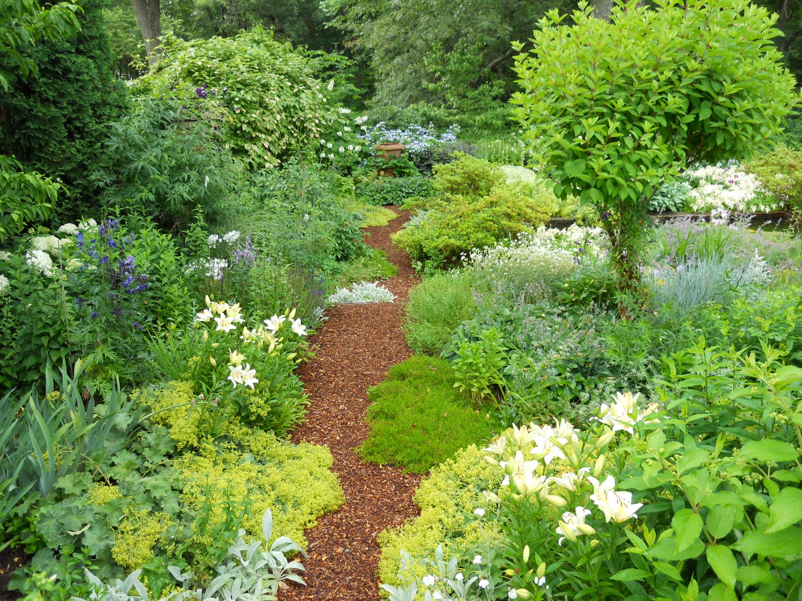 Garden Mulch