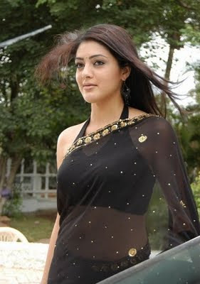 South Indian Actress in Black Saree Photos Parvathi Melton