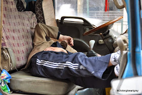 Robyn's Shanghai Nappers