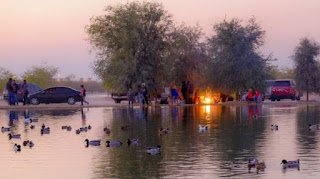 Al Qudra Lake Dubai