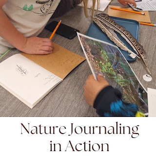 Students looking a feather and nature journaling by sketching and labeling