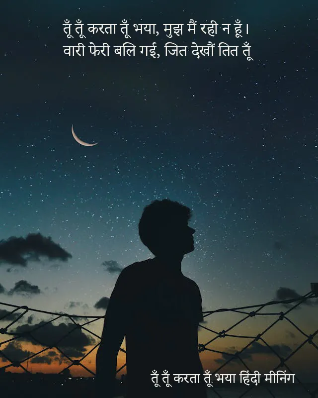 तूँ तूँ करता तूँ भया हिंदी मीनिंग