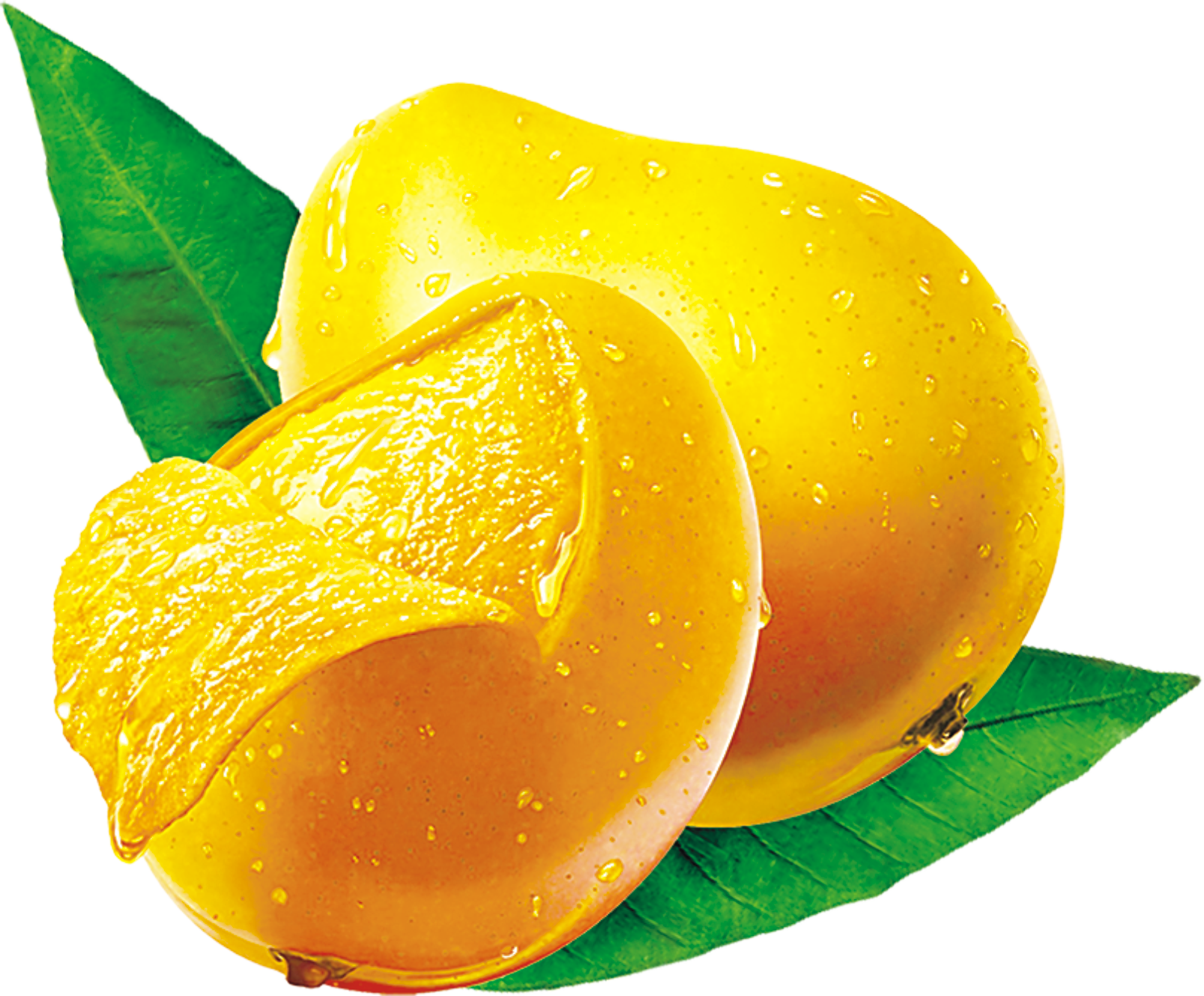 The Largest Mango Producers in the World, Asia, Americas, Africa and Oceania