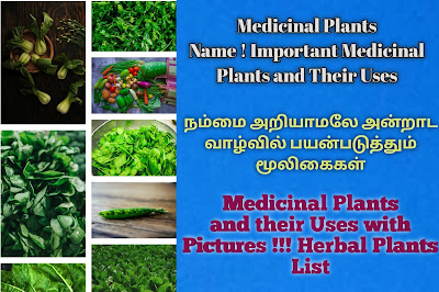 Medicinal Plants and their Uses with Pictures