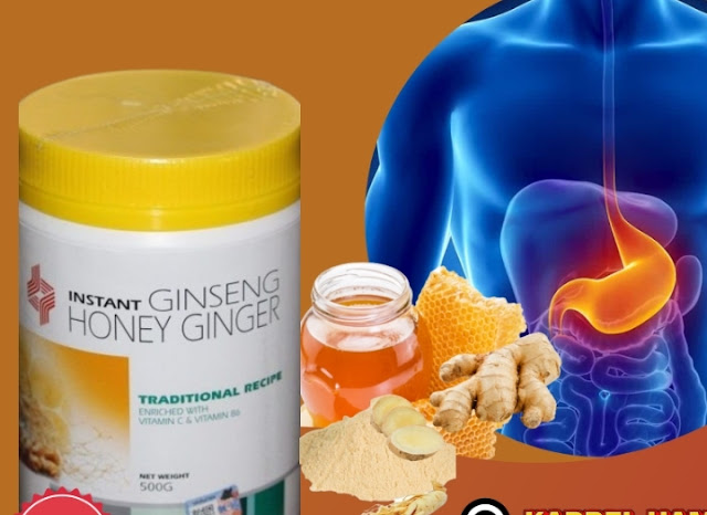 Dynapharm Ginseng Honey Ginger powder