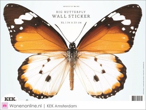 kek-amsterdam-vlinder-butterfly-muurstickers-1