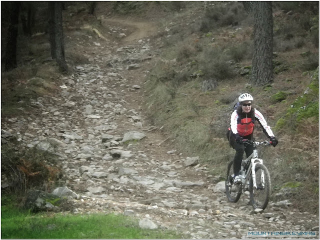 Castañar de El tiemblo