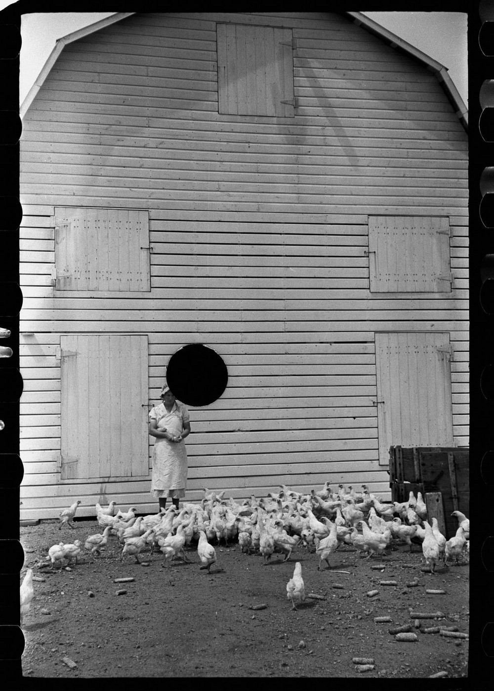 killed-negatives-15