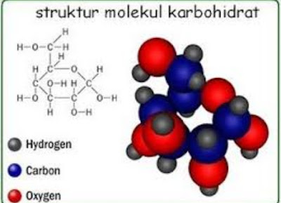 Karbohidrat penyusun sel